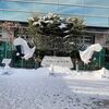 2024年1月　夢にまで見たOVER THE SUNイベントと東京の旅#1