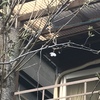 桜開花宣言