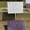 万葉歌碑を訪ねて（その１１３３）―奈良市春日野町　春日大社神苑萬葉植物園（９３）―万葉集　巻八　一六三〇