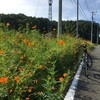 台風一過の毛呂山にランチに行ったよ　毛呂山から越生そしてときがわへクロスバイクでゆるポタ