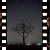リバーサルフィルムで福島潟を撮ってきた (その7)