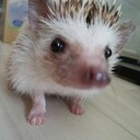 木炭のブログ