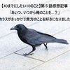 【40までにしたい10のこと】第５話感想記事「あいつ、いつから俺のことを…？」（カラスがきっかけで貴方のことを好きになりました）