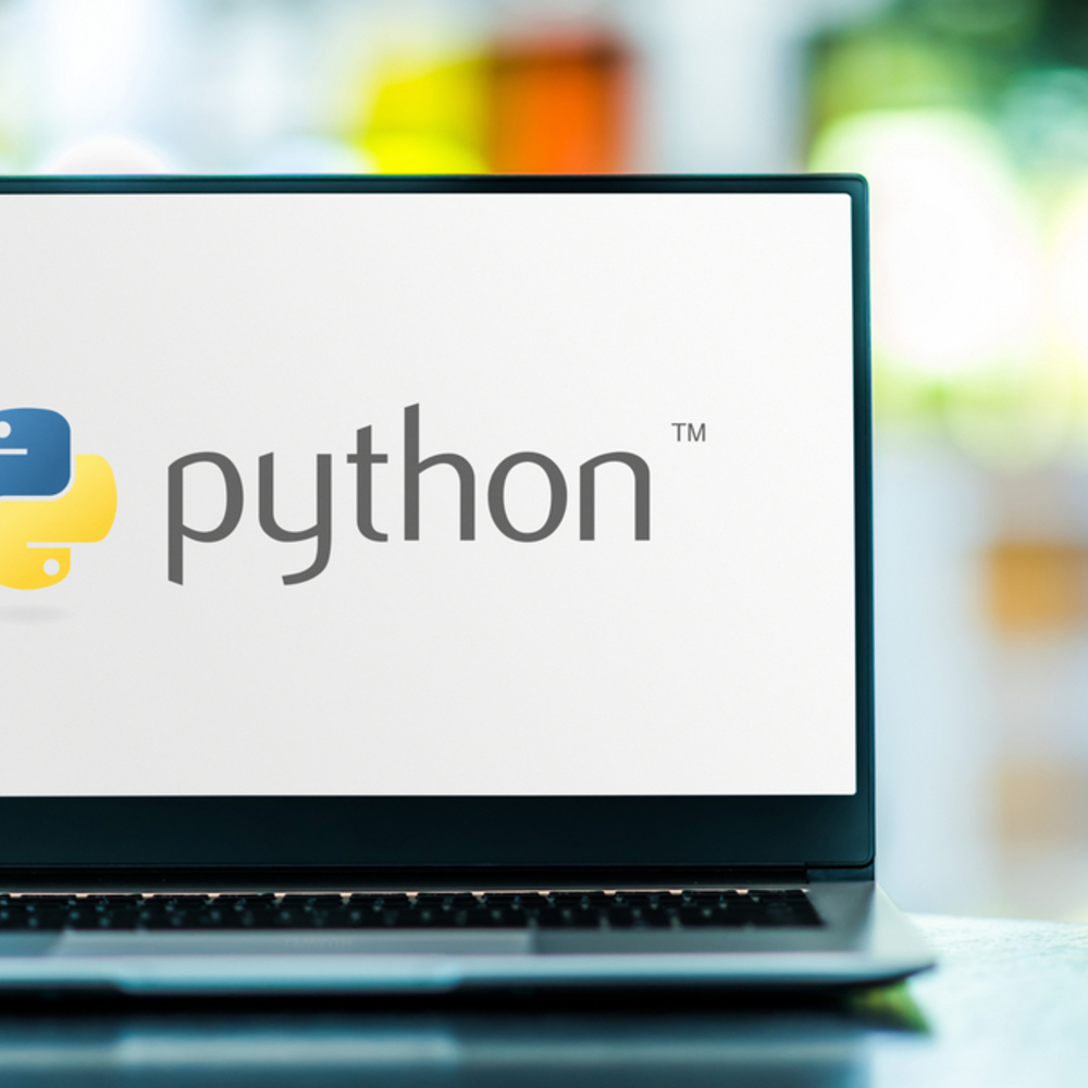 Python の型付けとどう付き合うか考える 〜型チェックができないのにどうして Python を選ぶの？〜