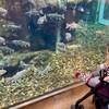 【安曇野・大町・白馬】雨の日の子連れおでかけに、室内で子どもが遊べる場所をローカルが案内するよ！
