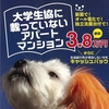 平成３１年　鳥取大学　合格　アパート探し！35,000円のプロパンガス物件よりも、３８，０００円のオール電化物件の方がお得！！新築　オール電化　アパート　エル・オフィス！