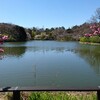 【横浜】三ツ池公園に子供と遊びに行って来ました。子供と回るおすすめルート。