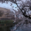 夕暮れの千秋公園のお堀端