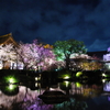 夜の東寺　ぱぁ〜と　２、