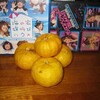 ゆず湯