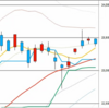 日足　日経２２５先物・ダウ・ナスダック　２０１９／１１／２９