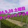 2024,9,28 土曜日 トラックバイアス予想 (中山競馬場、中京競馬場)