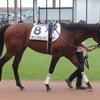 【一口馬主／ラパンラピッド】まさかの…