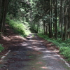 旧美和村（鷲子山南側）の林道