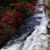 秋の日光で紅葉の湯滝と洒落乙カフェを楽しむ