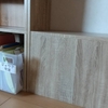 書類の捨て時