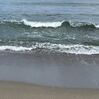 秋の海