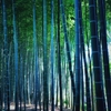 国分寺 10