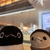 今日はHYDE様ライブ！和歌山満喫の一日です(745)