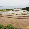 　田植え用意