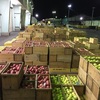 弘前りんご市場へ毎日出荷中！