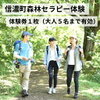 森林セラピーの魅力と心理効果
