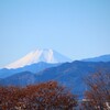 おニューエアコンと秩父神社 ①