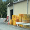 熊野旅行　谷瀬〜大斎原〜川湯