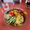 中華料理　東海苑　その十七　(閉店)