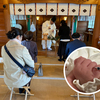 ちびっ子ギャングのヤングのお宮参りとお食い初めの吉日