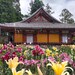 私はわたし、でいいんじゃないかな(笑)