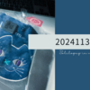20241130
