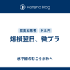 爆損翌日、微プラ