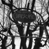 Photo No.924 / フォトブック