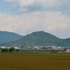 麦畑の見える風景