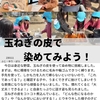 2023年1月11日 玉ねぎの皮で染めてみよう！