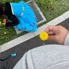 産む前は寝にくいけど、産んだら眠れないんだよな