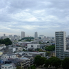 勝俣部長の「ため息」４９２４回････ドドっと踏み込む