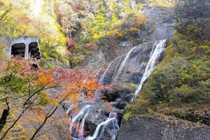【行ったつもりシリーズ】紅葉サイクリング前編～袋田の滝と奥久慈エリアをめぐる