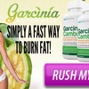 Qute Garcinia : Eliminate Stubborn Belly Fat Naturally