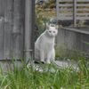 せっかく髪を切ったのに。