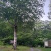 Birthday Camp 4