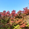 紅葉＆温泉旅行_草木湖畔