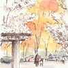 黄葉の公園で