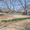 赤館公園の廃墟（東白川郡棚倉町）