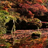 見応えのあった湖東三山　金剛輪寺