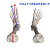 膝とつま先の方向は揃っていない