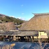 かやぶきの郷　薬師温泉【旅籠】宿泊記③