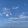 今日は予定なし