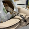 ひとり四面楚歌。